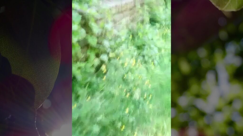 Take a moment to relax with Helen as she takes us on a #poetryinmot…