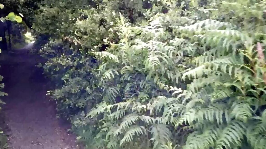 Grab a cuppa, find a quiet spot and listen to Helen as she shares o…