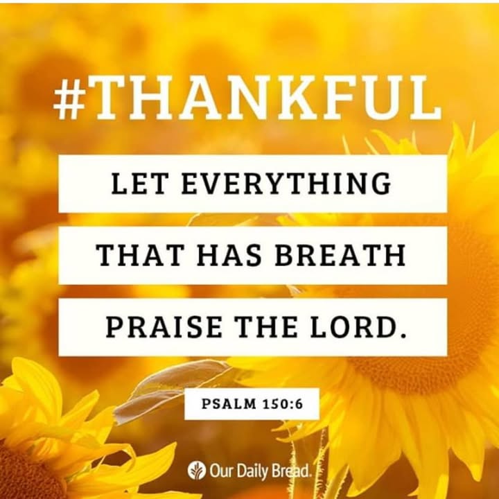 Counting blessings as opposed to problems is a good habit to practice.