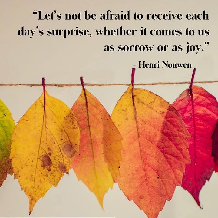 May your surprises today be ones of joy.