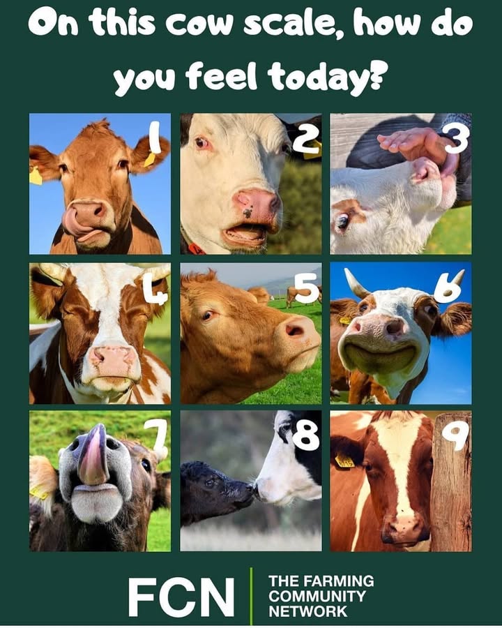 What a great post from FCN – We hope your week gives you many momen…