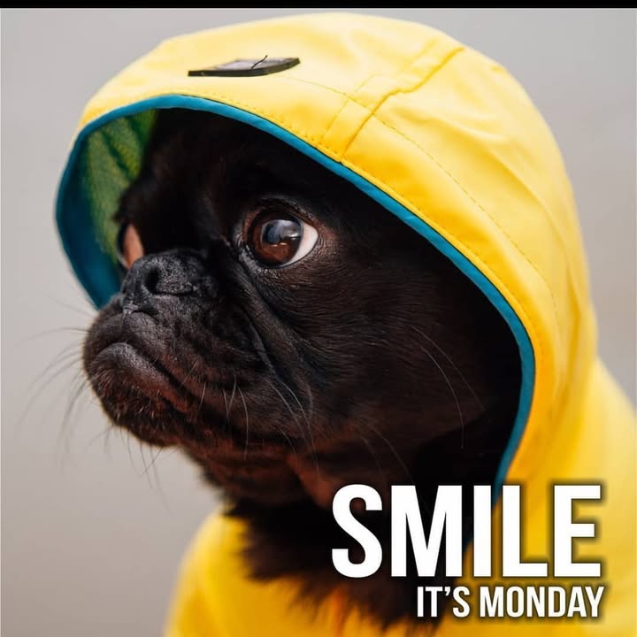 Hope this makes you smile!