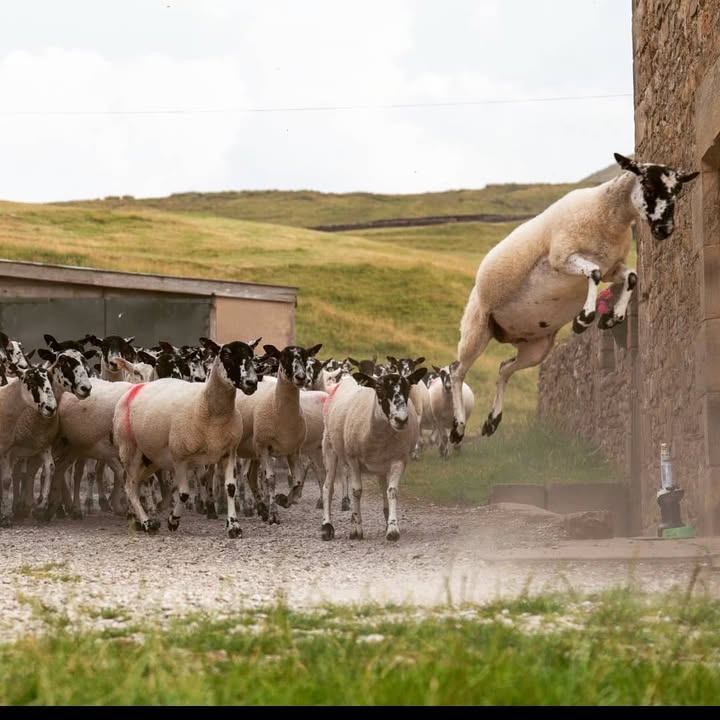 Be the one who stands out from the crowd!