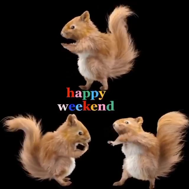 Have a great weekend everyone!