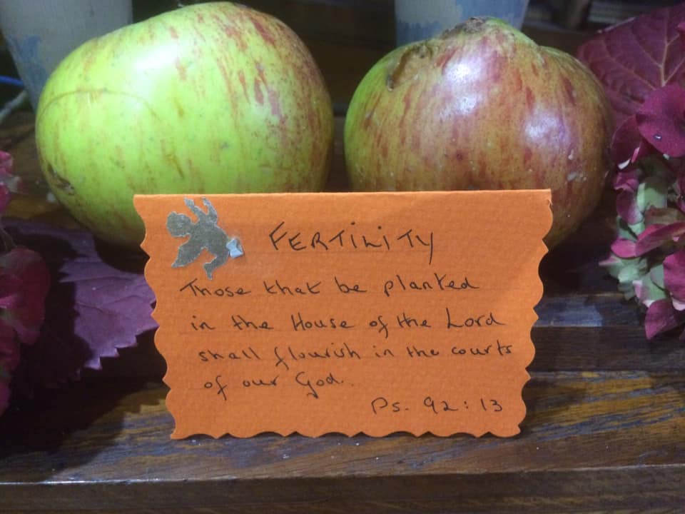 Last Sunday was our Harvest Service followed by our Harvest Supper …