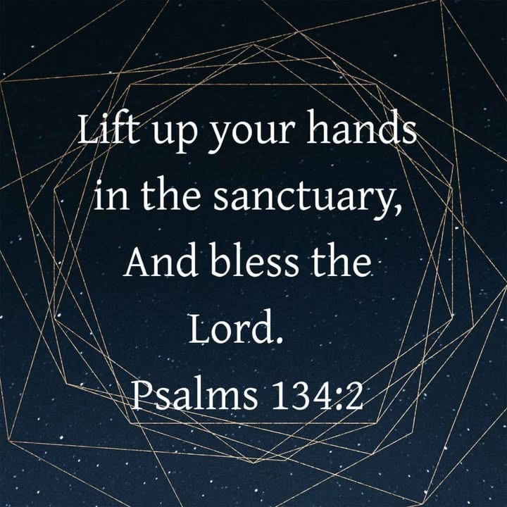 Happy Sunday everyone!