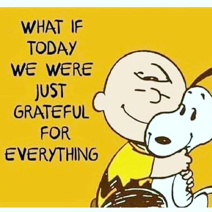 #thankfulthursday #grateful