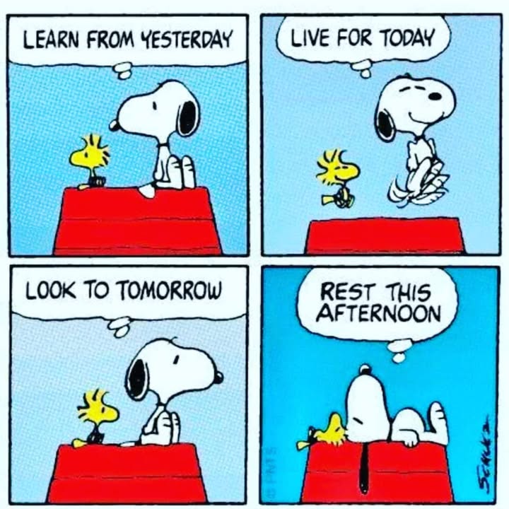 Gotta love a bit of Snoopy wisdom!
