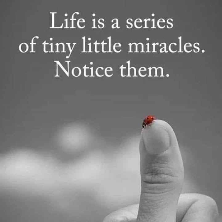 Hope you’re all encouraged in the little things today!