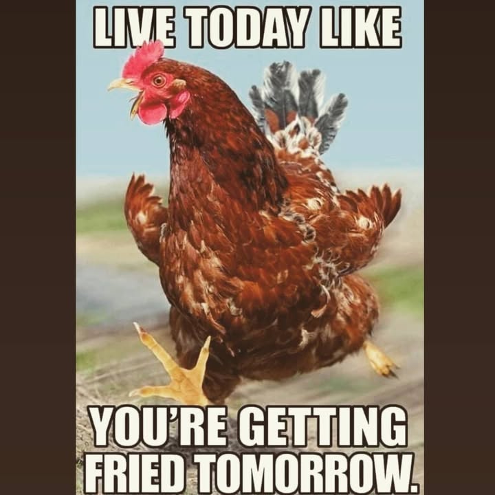 😂😆😁 Have a great week everyone!