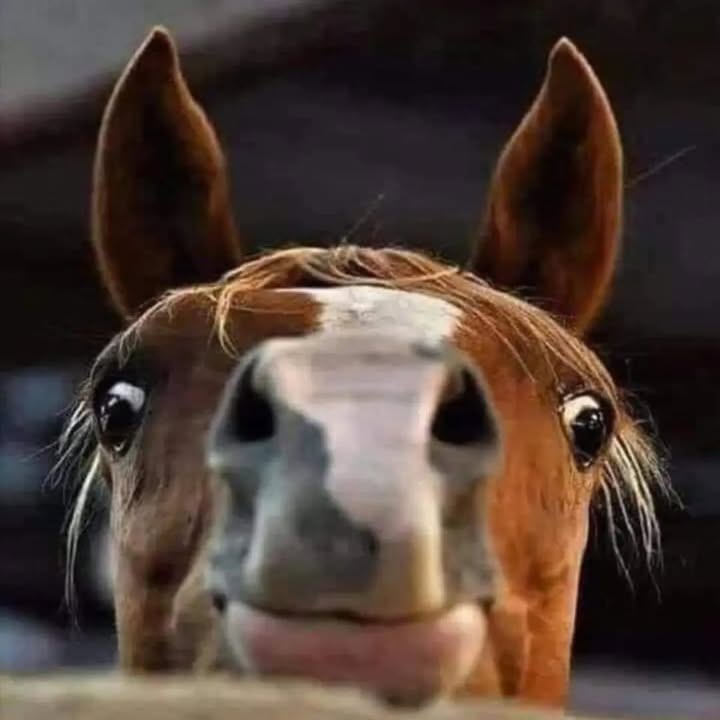 It’s that Friday feeling!