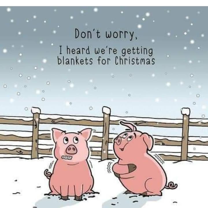 Apparently pigs-in-blankets has been voted the most popular element…
