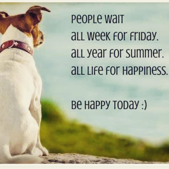 Happy Monday everyone!
