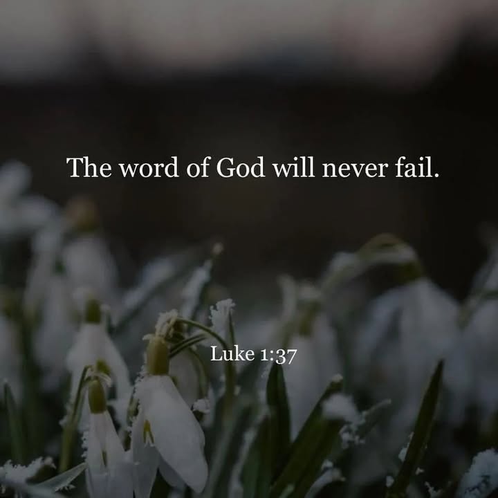 #verseoftheday #bibleverse #bible #word