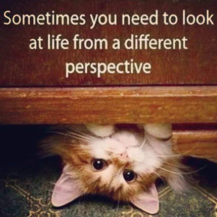 Sometimes we need to work on our perspective!