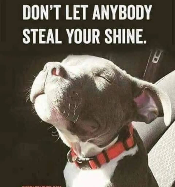 No matter what Keep Shining 🌟🌟🌟 Have a great weekend!