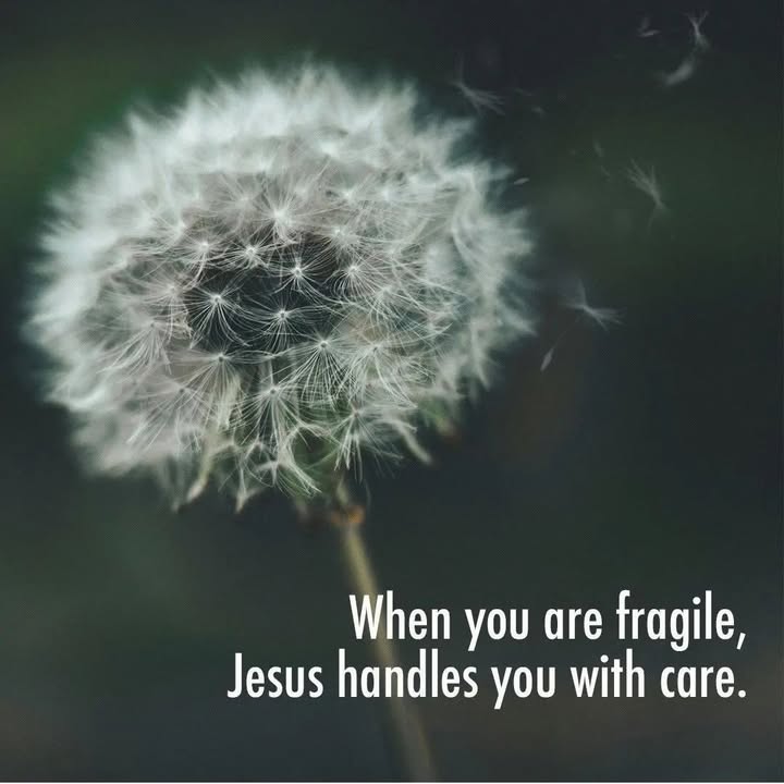 He is faithful!
