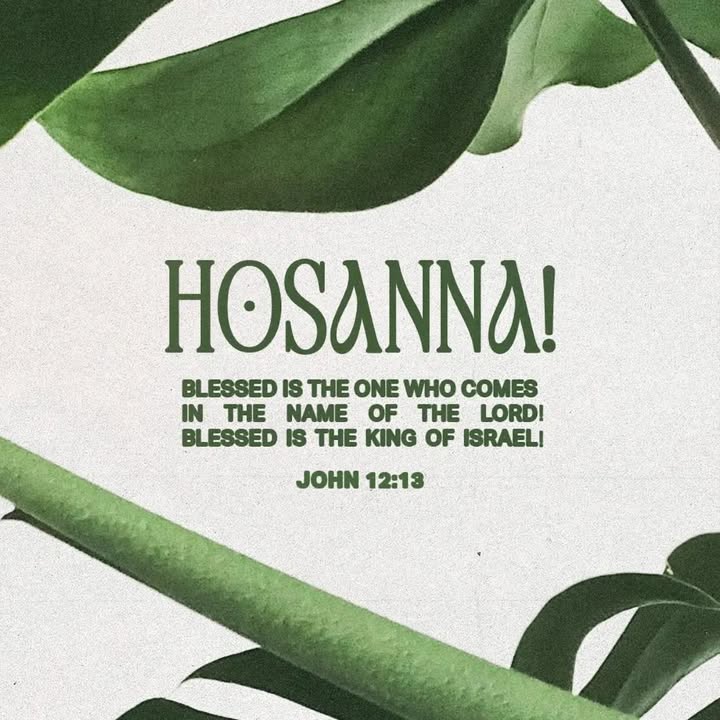 Sing Hosanna Sing Hosanna sing Hosanna to the King of Kings.