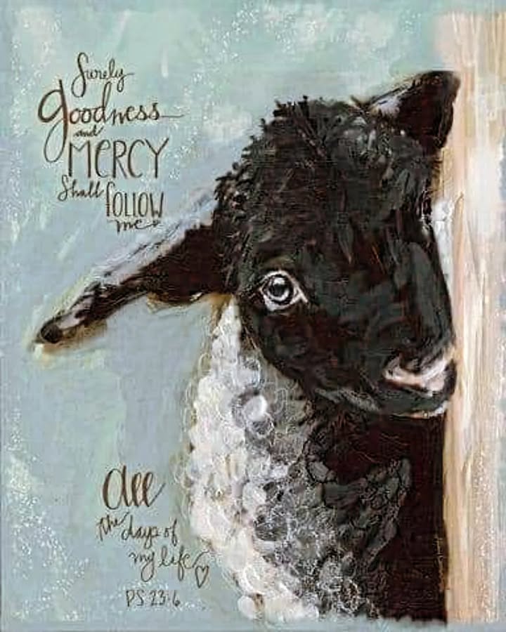 #goodness #mercy #goodshepherd #life #hope #thankful #lamb #psalm23