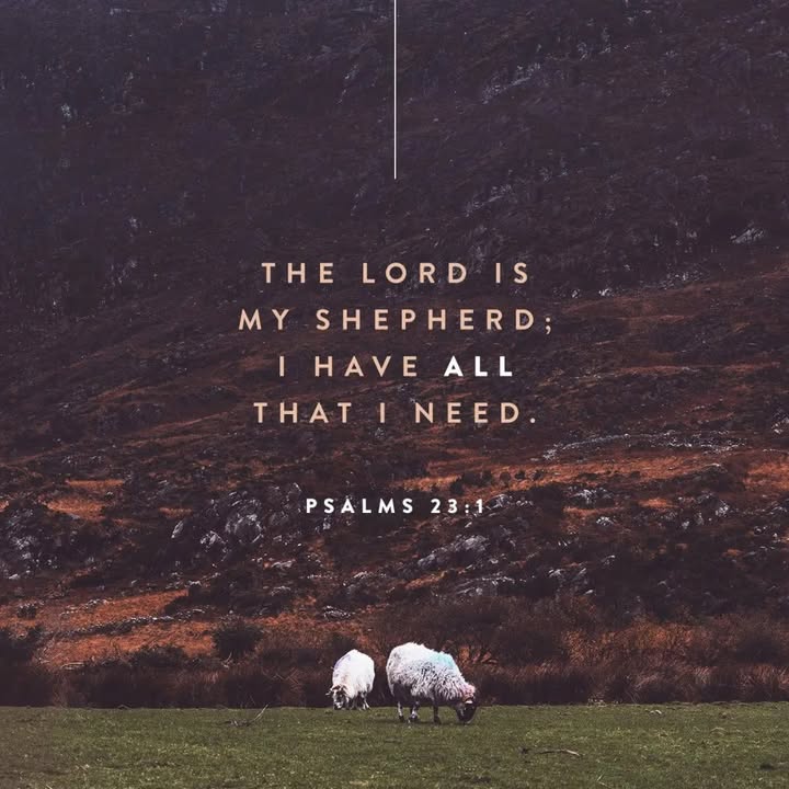 Trust in the Lord with all your heart and lean not on your own unde…