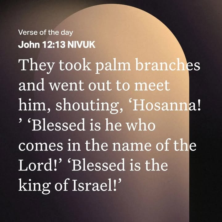 🌴 hosanna 🌴