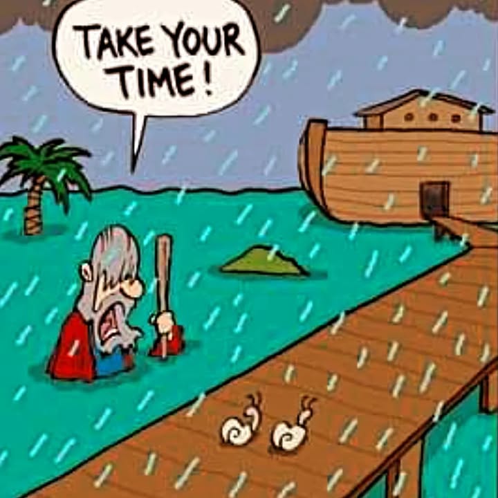 At times like this it’s easy to empathize with Noah!