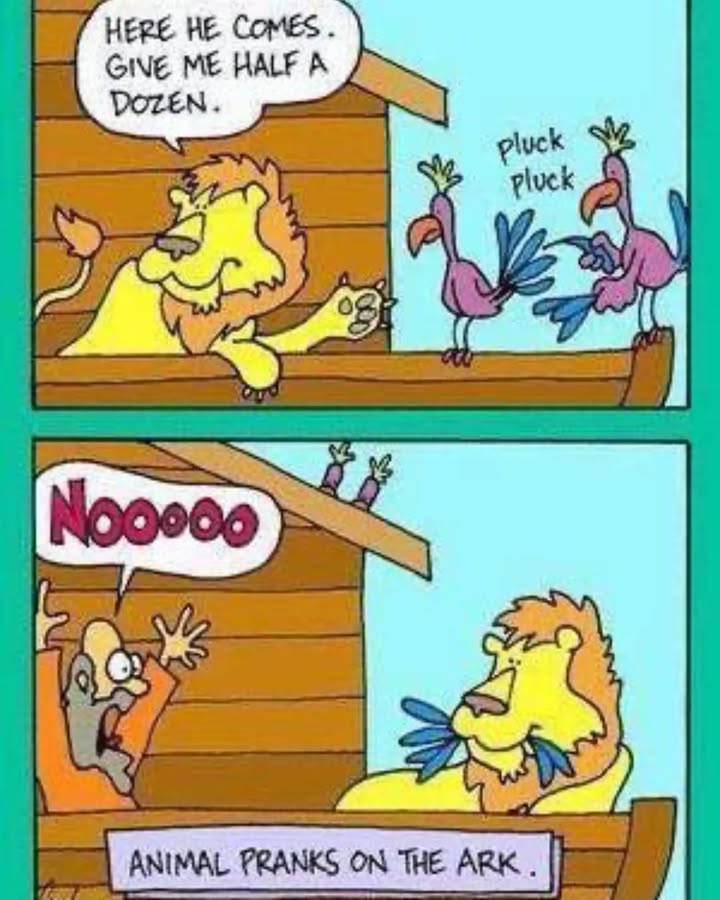 🤣🤣🤣 Have a good weekend all 🥰 Remember we’re meeting, as usual, Sun…