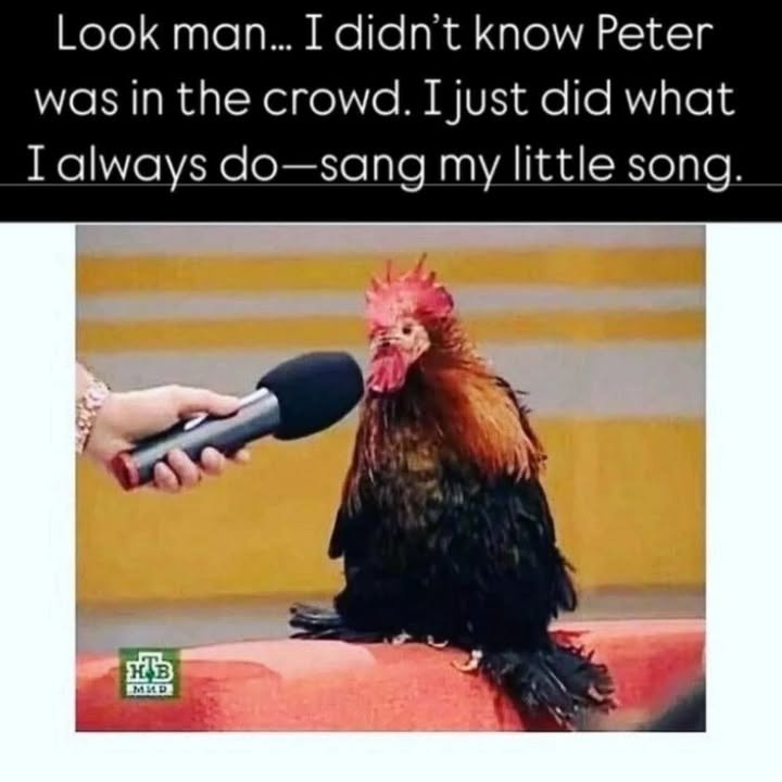😄😄😁🐔📣 Have a great week everyone X