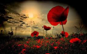 Join us this Sunday morning for our Remembrance Service at 1030 wit…
